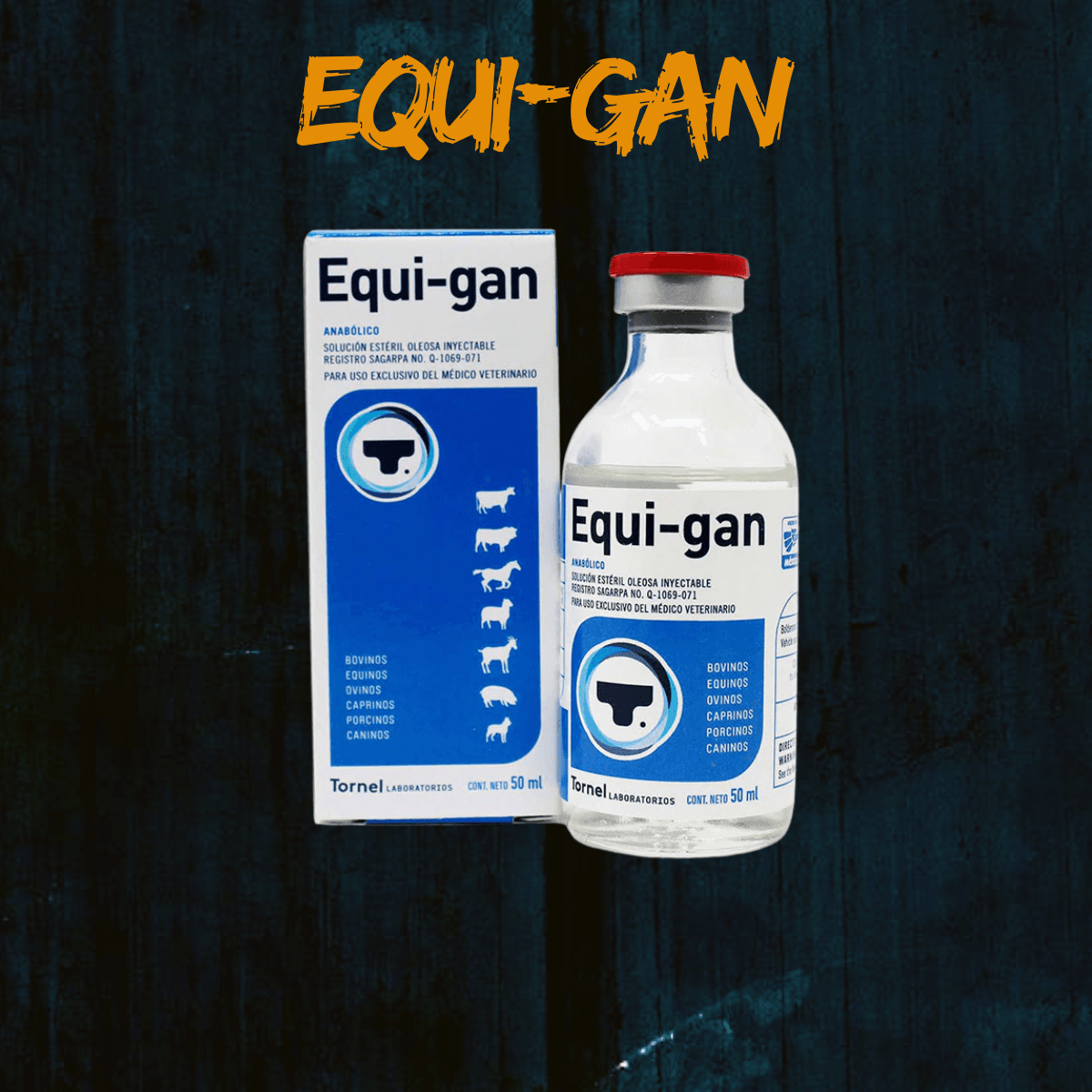 Equi Gan Tornel — Tornel