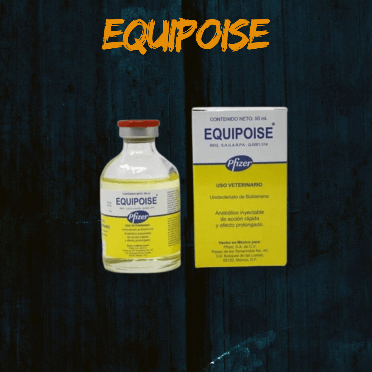 Equipoise Pfizer — Pfizer